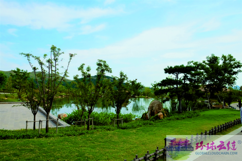 DSCF2562.jpg