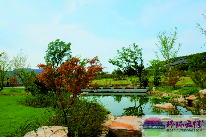 DSCF2591.jpg