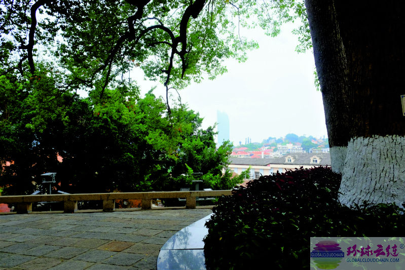DSCF7708.jpg