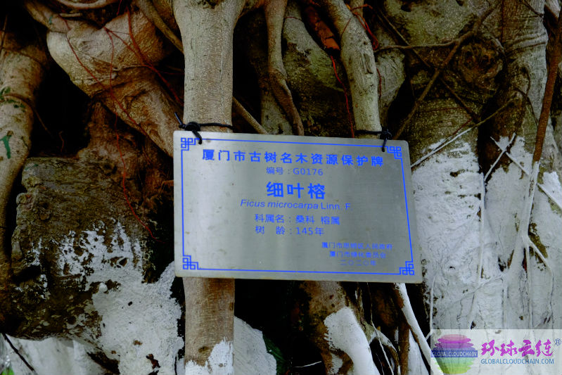 DSCF7719.jpg