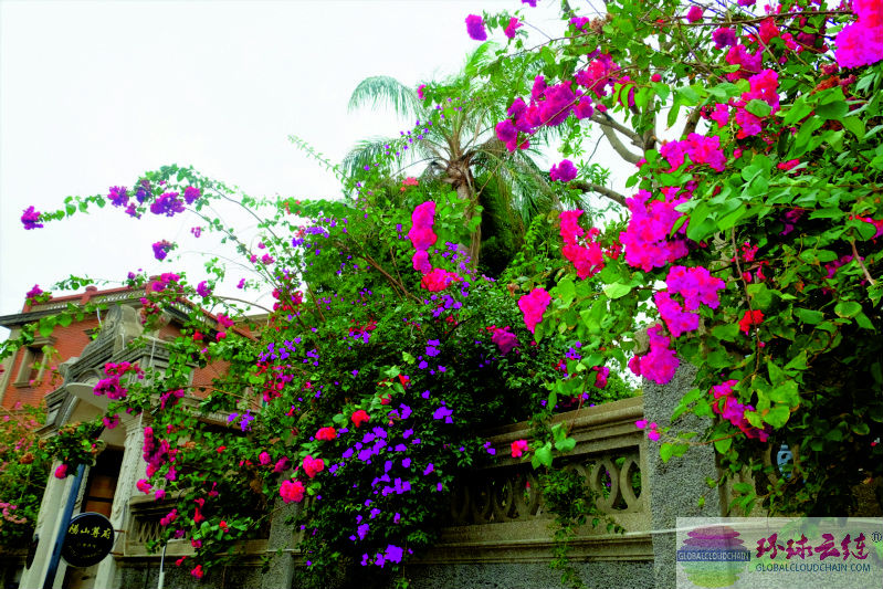 DSCF7738.jpg