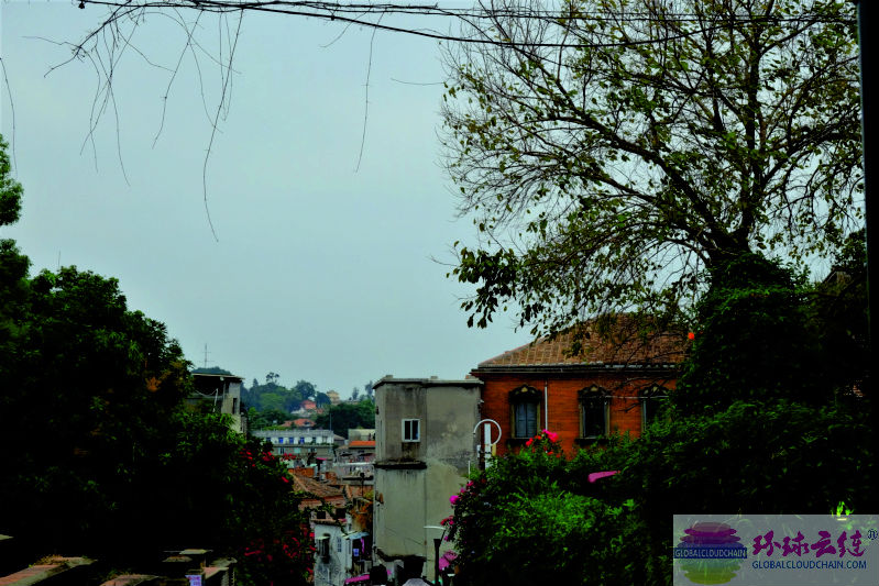 DSCF7741.jpg