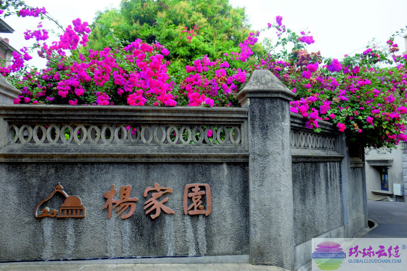 DSCF7751.jpg