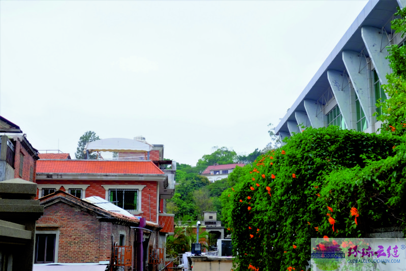 DSCF7773.jpg