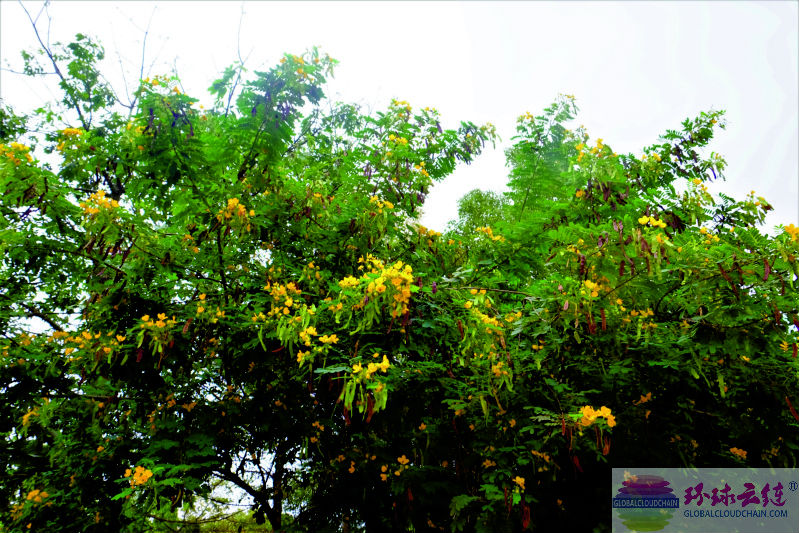 DSCF7839.jpg