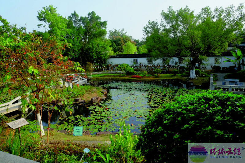 DSCF7213.jpg