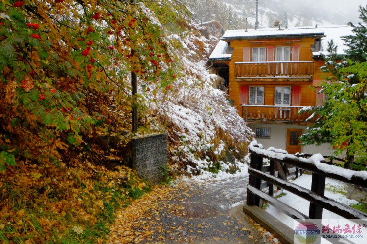 DSCF9374.jpg