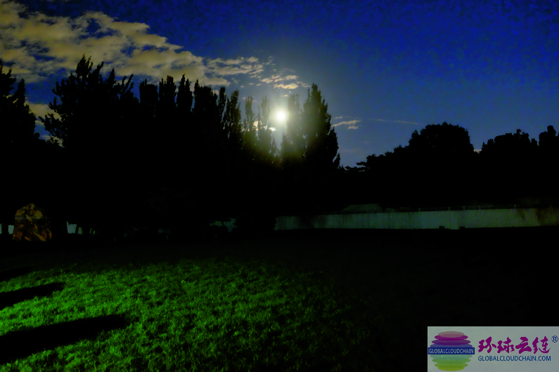 DSCF6816.jpg
