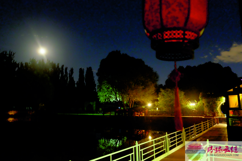 DSCF6863.jpg