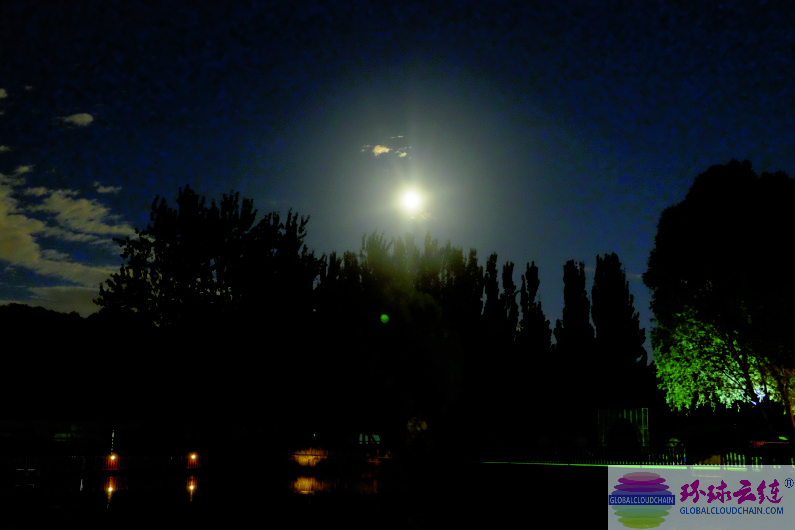 DSCF6873.jpg