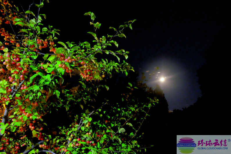 DSCF6900.jpg