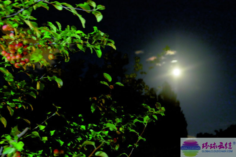DSCF6906.jpg