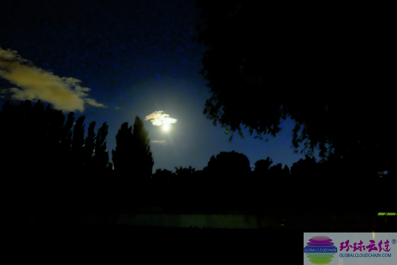 DSCF6915.jpg