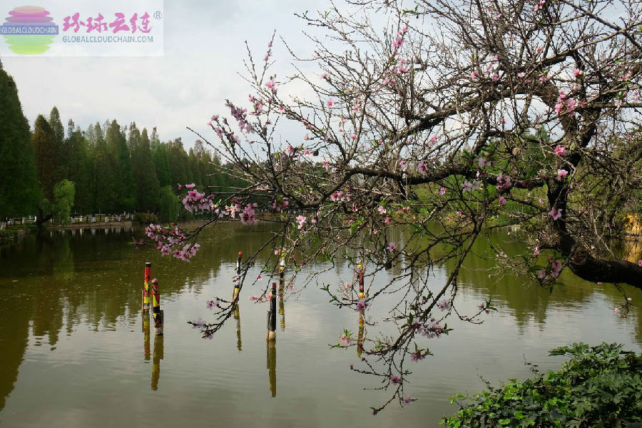 DSCF8836.jpg