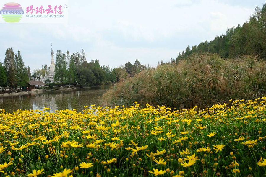 DSCF8842.jpg