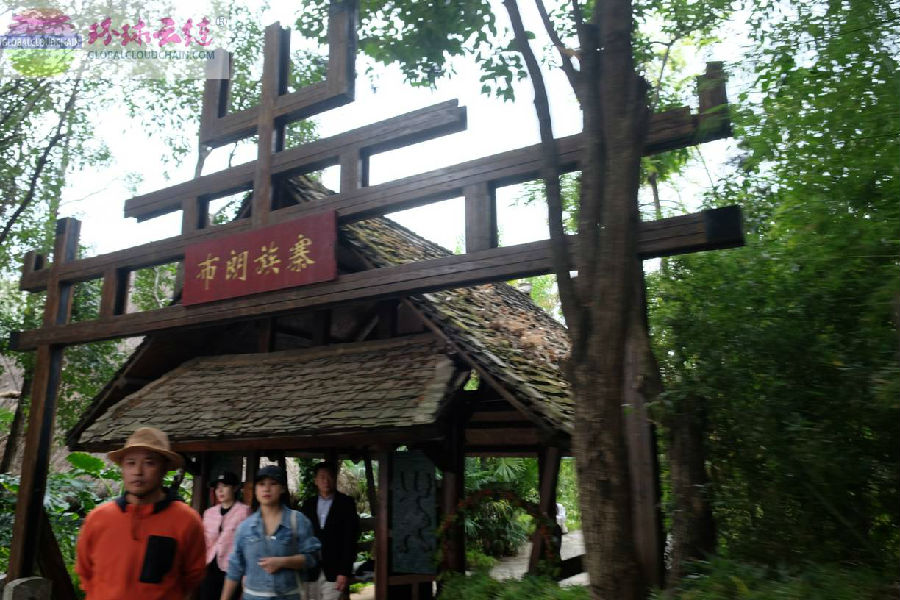DSCF8867.jpg