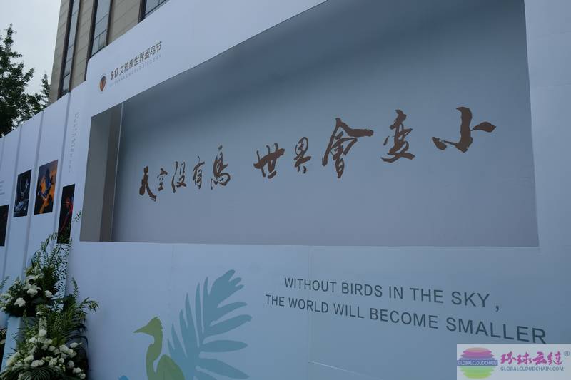DSCF2415.jpg