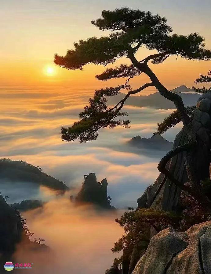 13-微信图片_202409142327372.jpg