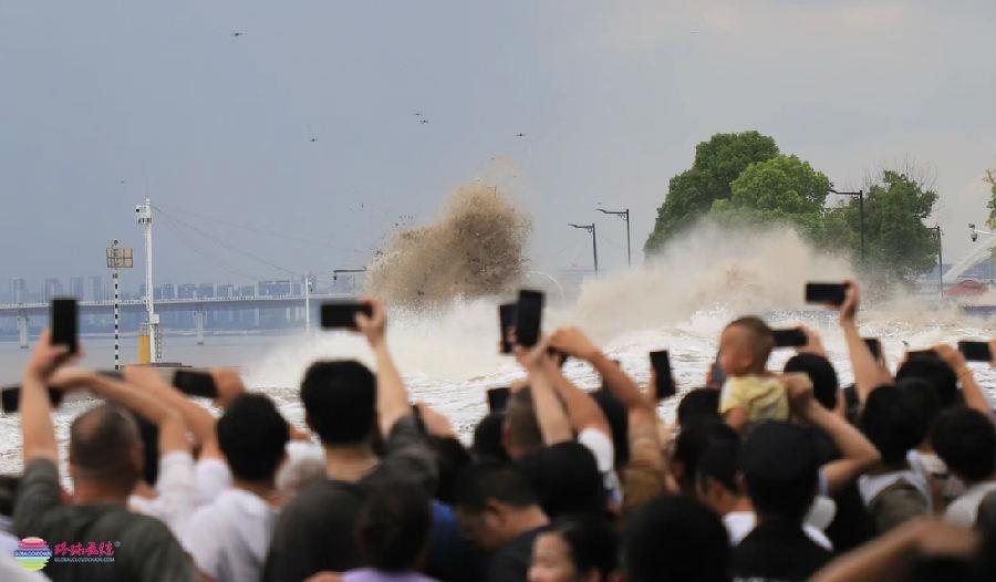 3-微信图片_202409231014371.jpg