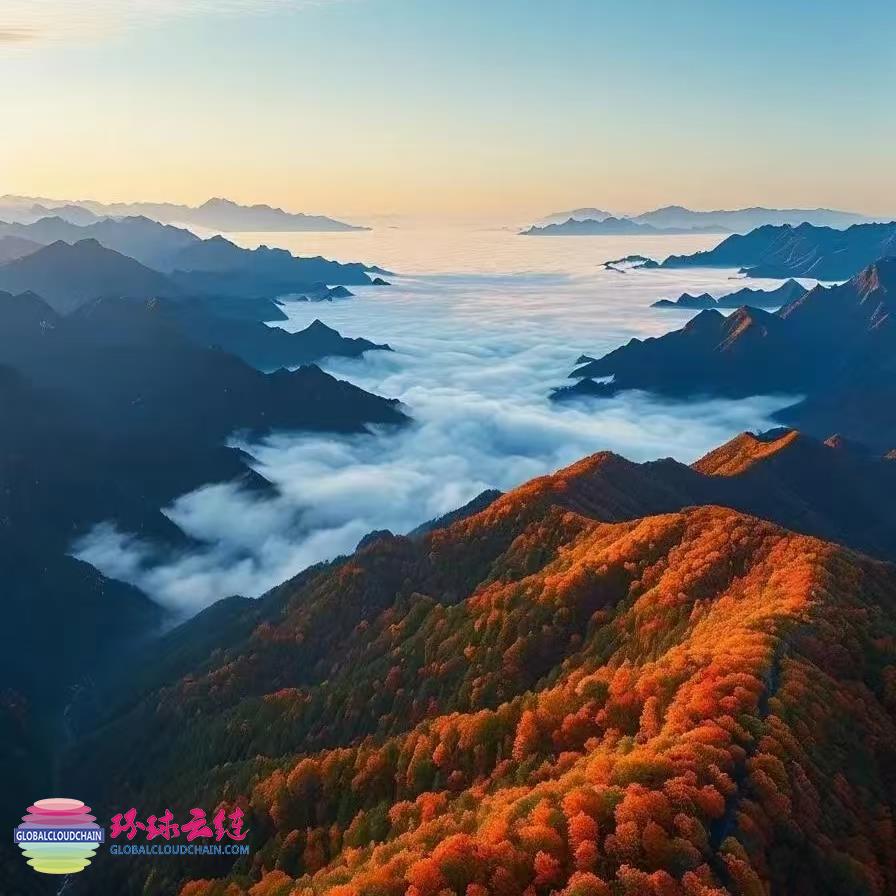 4-微信图片_202410231427081.jpg
