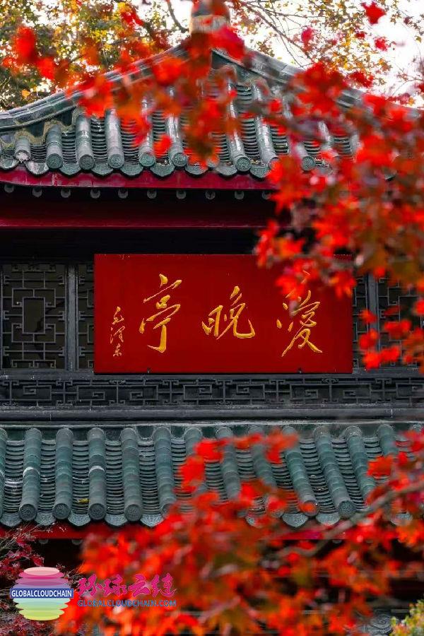 微信图片_202504141117342.jpg